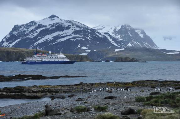 O Sea Spirit ancorado ao lado de Prion Island, na Geórgia do Sul